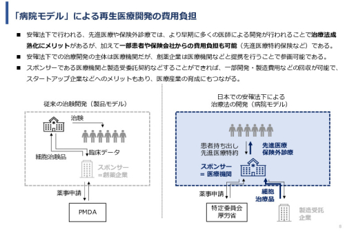 令和６年度「網膜再生医療の国内外の普及に向けた医療プラットフォーム構築事業」事業報告書
